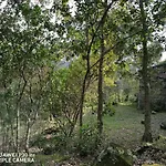 Casa Douro Terrace *