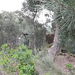 Дом отдыха Casa Douro Terrace