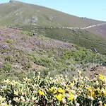 Casa Douro Terrace Байан