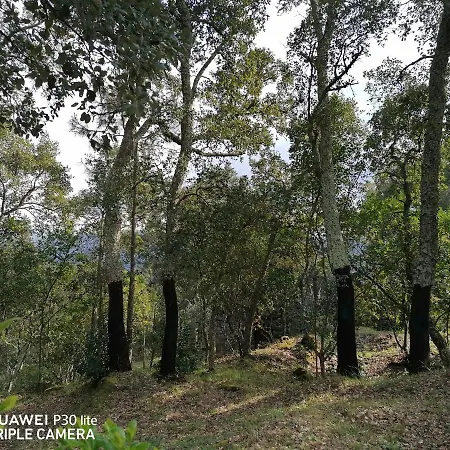 Casa Douro Terrace Casa de Férias Baião