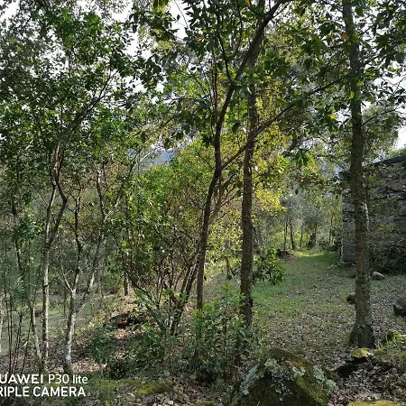 Casa Douro Terrace *