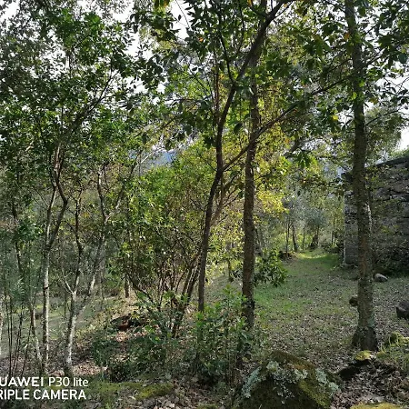 Casa Douro Terrace *