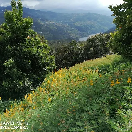 Casa Douro Terrace Baião