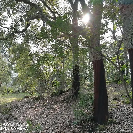 Casa de Férias Casa Douro Terrace Baião