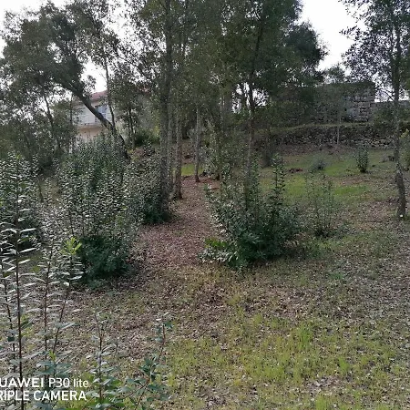 Casa Douro Terrace Casa de Férias