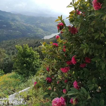 Дом отдыха Casa Douro Terrace *