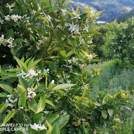 Casa Douro Terrace * Baião