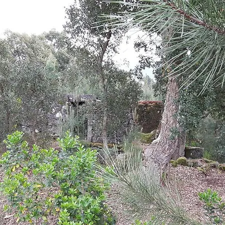 Casa de Férias Casa Douro Terrace