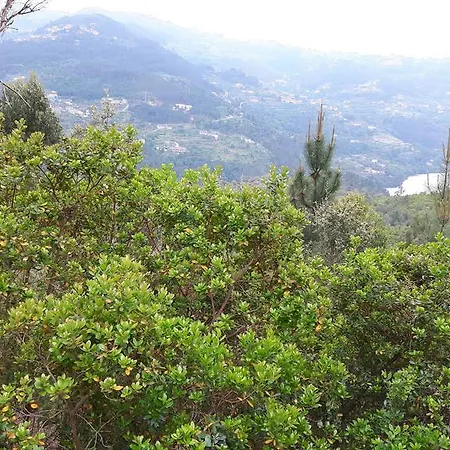 펜션 Casa Douro Terrace