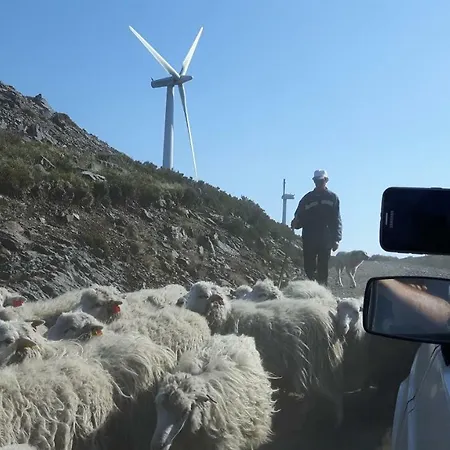 Casa Douro Terrace Casa de Férias Baião