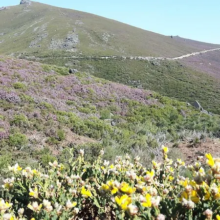 Casa Douro Terrace Baião