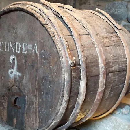 Casa Douro Terrace *