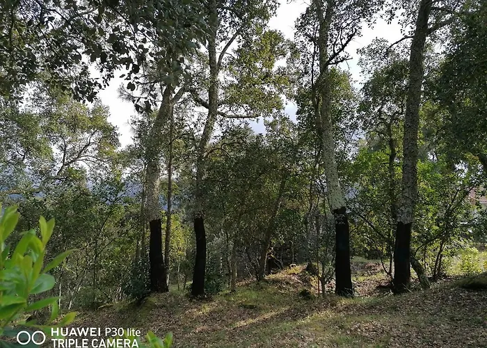 Casa Douro Terrace Сasa de vacaciones Baião