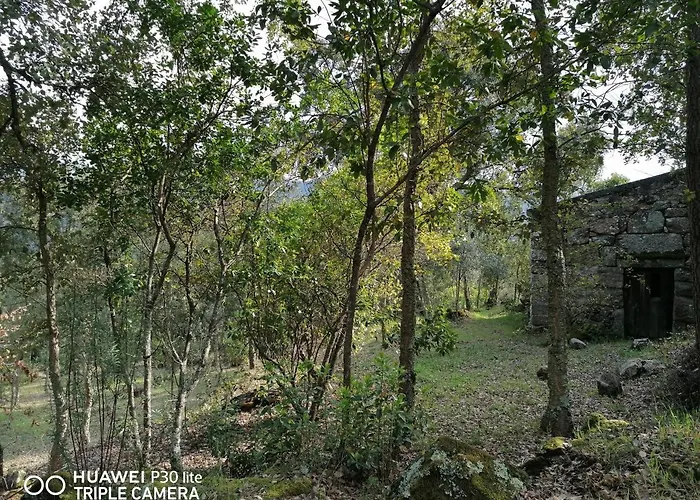 Casa Douro Terrace *