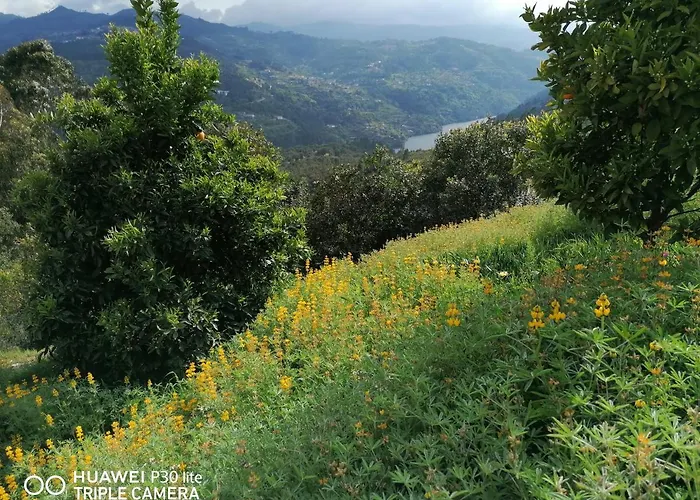 Casa Douro Terrace Baiao