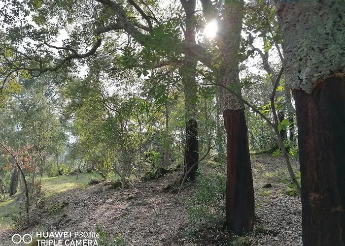 Semesterbostad Casa Douro Terrace Baião