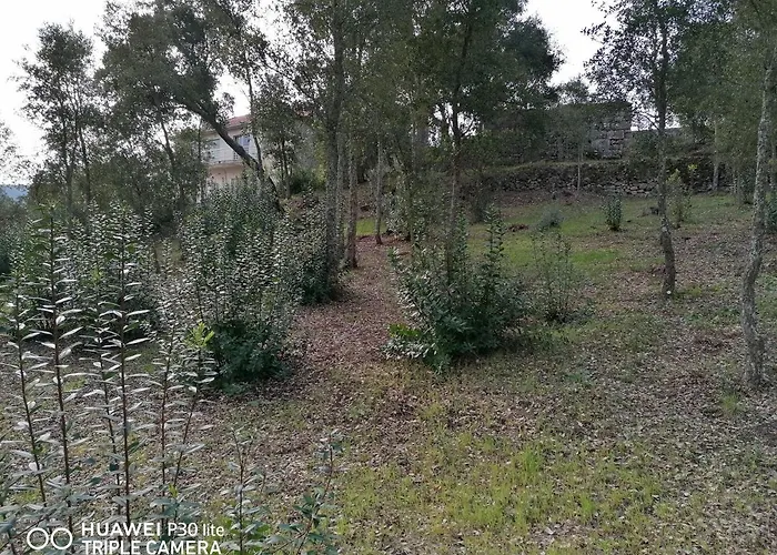 Casa Douro Terrace Holiday home