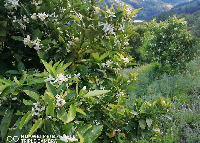 Casa Douro Terrace * Baião