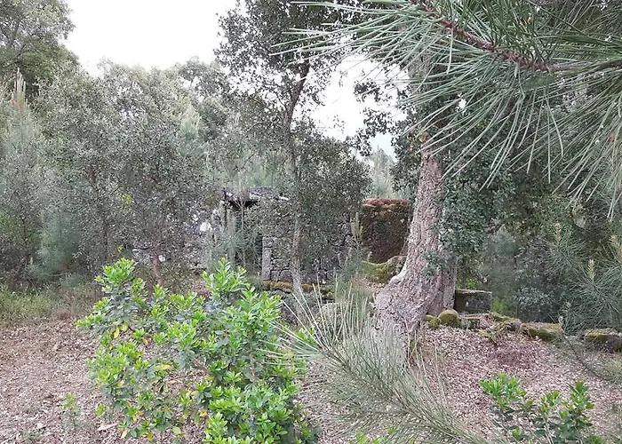 Holiday home Casa Douro Terrace