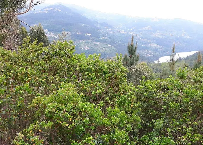 Holiday home Casa Douro Terrace