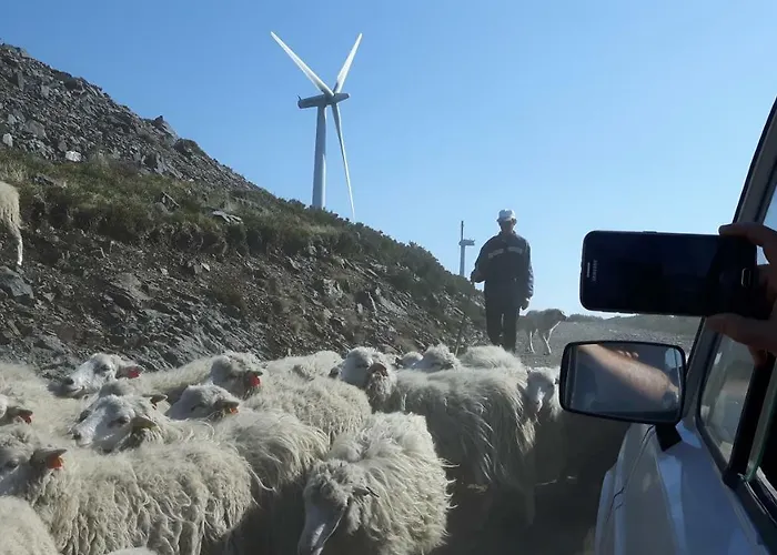 Casa Douro Terrace Semesterbostad Baião
