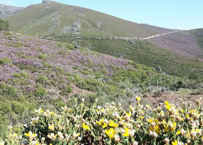 Casa Douro Terrace Baião